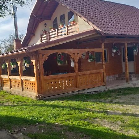 Casa Alina Brebゲストハウス エクステリア 写真