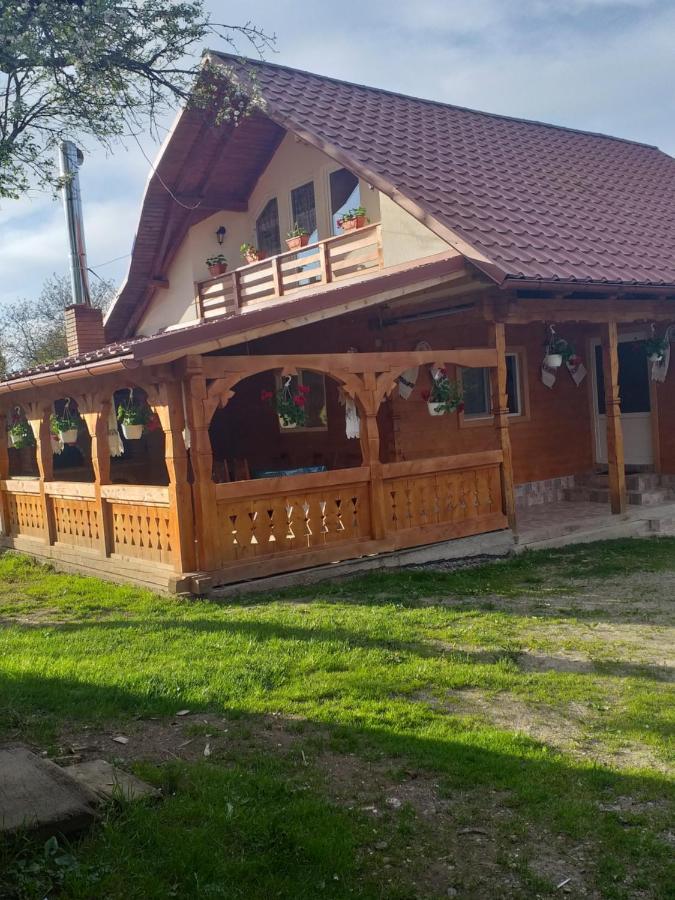 Casa Alina Brebゲストハウス エクステリア 写真