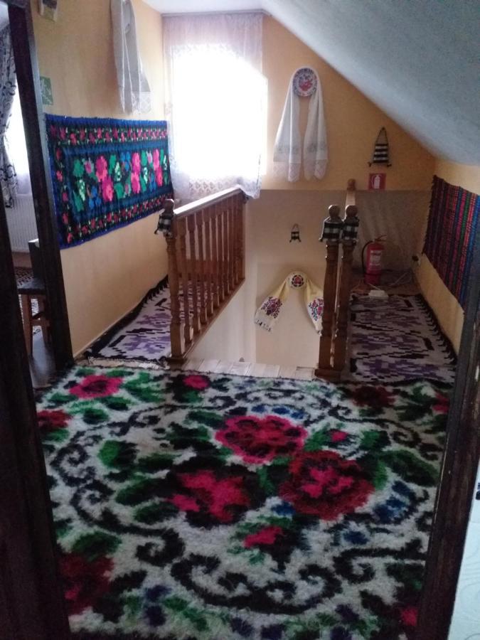 Casa Alina Brebゲストハウス エクステリア 写真