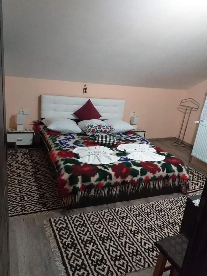 Casa Alina Brebゲストハウス エクステリア 写真