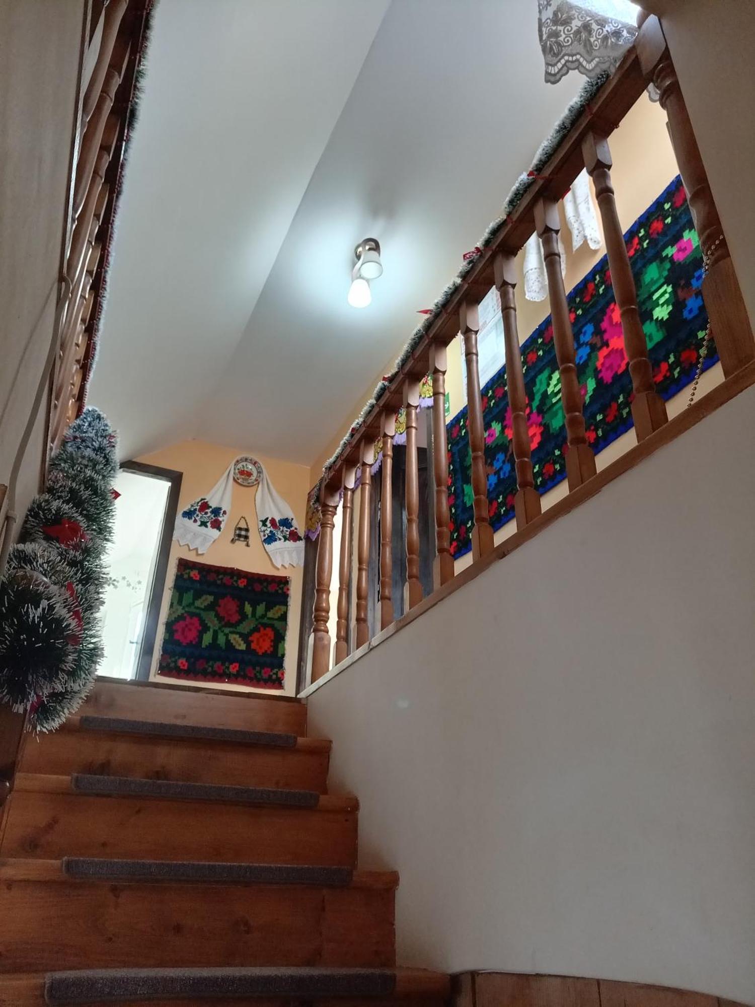 Casa Alina Brebゲストハウス エクステリア 写真